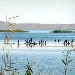 Kultur+Natur: 11 Tage entlang der Großen Seidenstraße