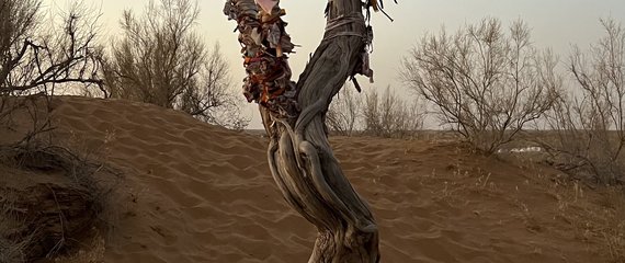 Uzbekistan highlights