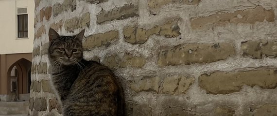 Uzbekistan highlights