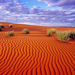 UZBEKISTAN PER TUTTE LE STAGIONI